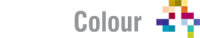 Crucial Colour Reversed Logo